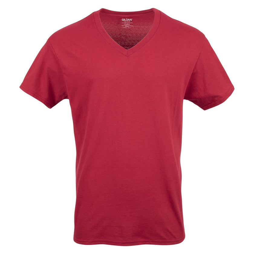 Gildan Men's V-Neck T-Shirts, Multipack, Style G1103, Navy/Charcoal/Cardinal Red (5-Pack), Large 🍁 All In One Marketplace Canada