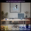 Philips Hue Smart LED A19 Bulb, White and Color Ambiance, E26 Base, 9.5W, Full Spectrum Light 1000K-20000K, 1100 Lumens, Dimmable, Works with Alexa, Google Assistant, and Apple Home, 1 Pack 🍁 All In One Marketplace Canada