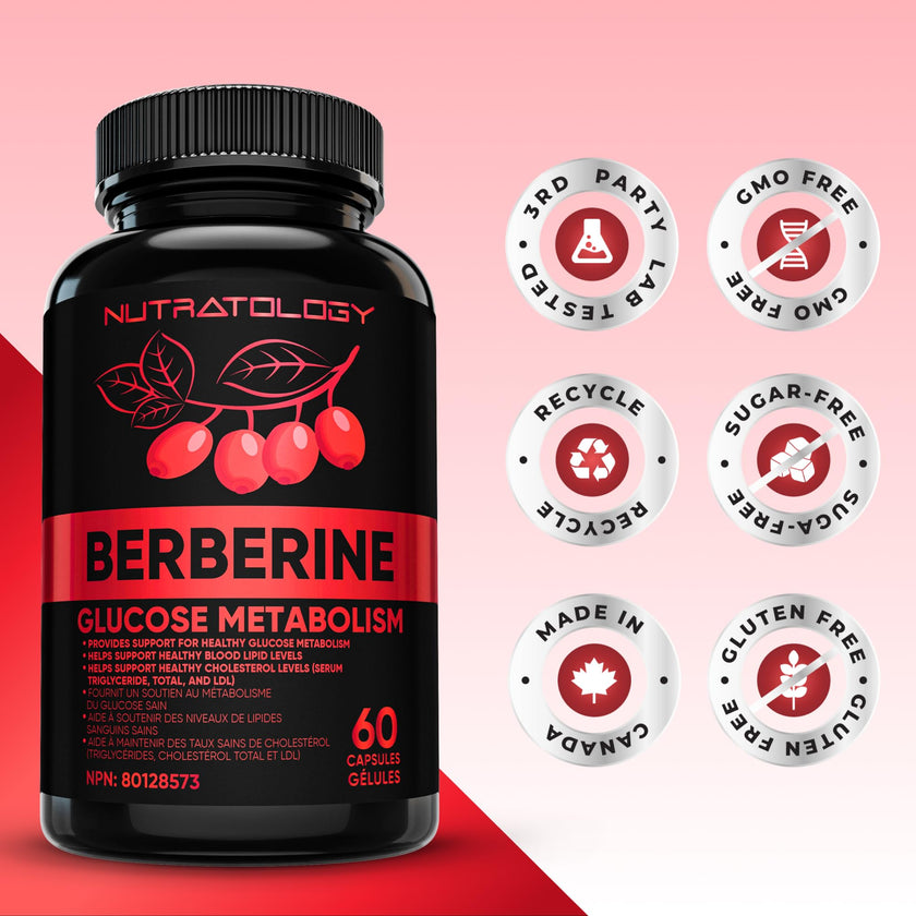 Nutratology® Berberine Supplement | Canadian-Made | Max Potency 500MG Per Capsule - Supports Glucose Metabolism & Healthy Blood Sugar Levels Through Efficient Metabolism Of Sugar & Fats - 60 Capsules 🍁 All In One Marketplace Canada