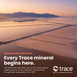 Trace Minerals ConcenTrace Drops | Ionic Liquid Magnesium, Chloride, Potassium | Full Spectrum Minerals | Low Sodium | Energy, Electrolytes, Hydration | 120 ML, 48 Day Supply 🍁 All In One Marketplace Canada