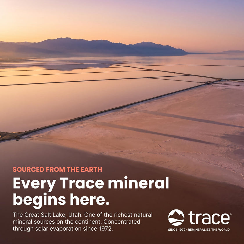 Trace Minerals ConcenTrace Drops | Ionic Liquid Magnesium, Chloride, Potassium | Full Spectrum Minerals | Low Sodium | Energy, Electrolytes, Hydration | 120 ML, 48 Day Supply 🍁 All In One Marketplace Canada