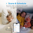 meross Smart Dimmer Switch, Single Pole Smart Switch for LED Light, Neutral Wire Required, Compatible with Apple HomeKit, Alexa, Hey Google and SmartThings, 2.4GHz Wi-Fi, No Hub Required, 2 Pack 🍁 All In One Marketplace Canada