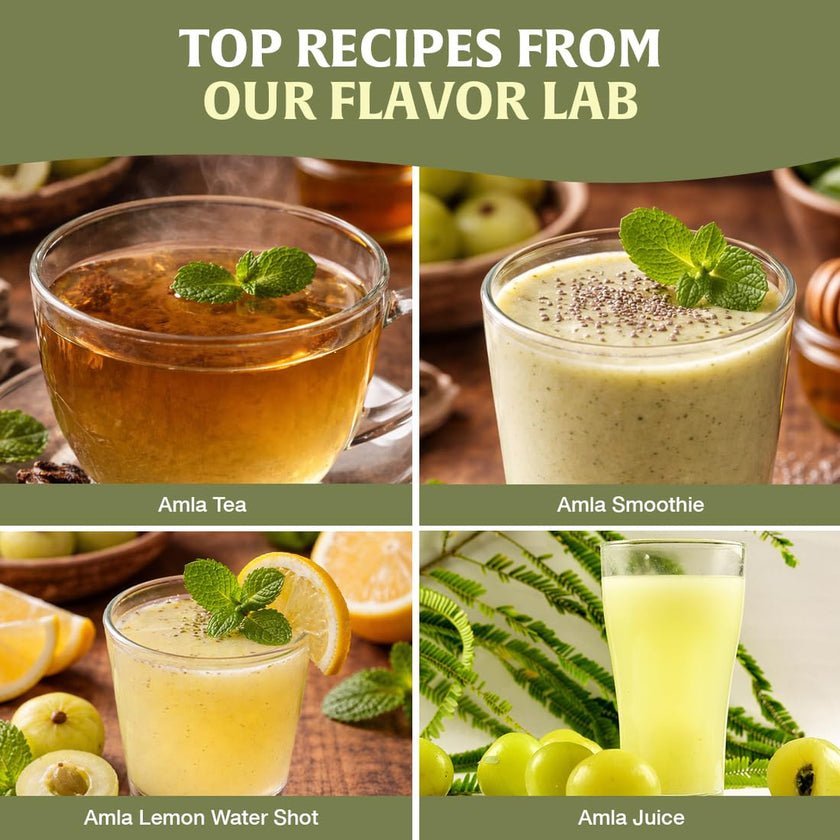 HANDPICK, Amla Powder (397gm/14oz) Halal Amalaki, Non-GMO | 100% Raw and Natural - Lab Tested for Purity | Indian Gooseberry Powder | Resealable Zip Lock Pouch 🍁 All In One Marketplace Canada