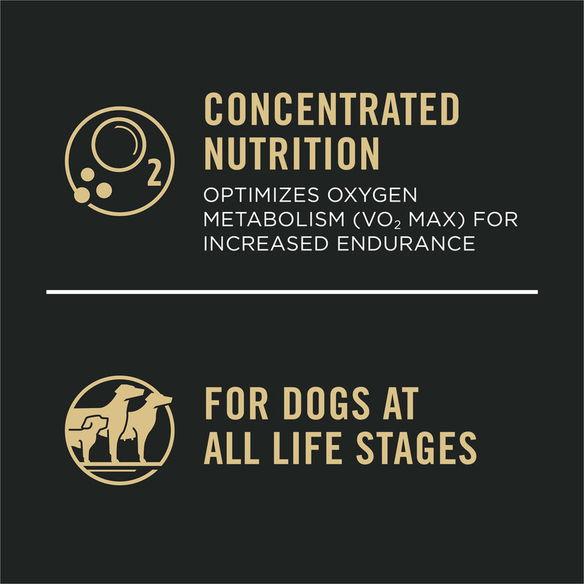 Purina Pro Plan Dry Dog Food, Sport, Performance 30/20 Salmon and Rice Formula, 33-Pound Bag, Pack of 1 🍁 All In One Marketplace Canada