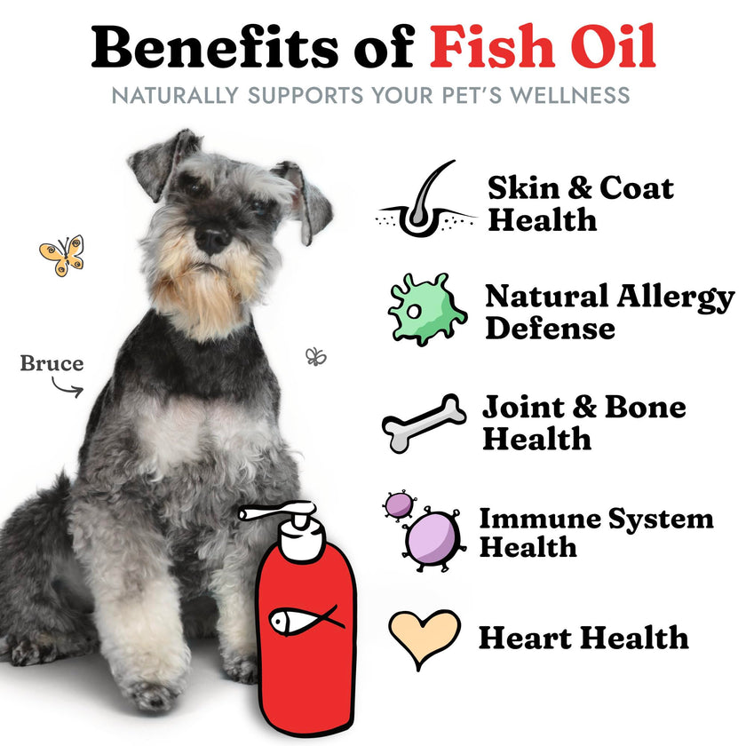 Fish Oil for Dogs 1.89 L - Healthy Skin & Coat, Salmon, Pollock, All Natural Supplement for Pets, Itching Scratching Allergy & Inflammation Defense, Omega 3 EPA DHA, Brain & Heart Health 🍁 All In One Marketplace Canada