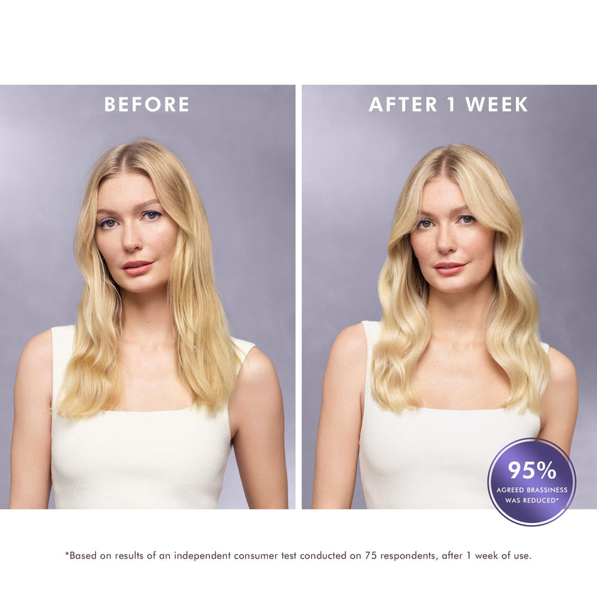 Moroccanoil Treatment Purple Hair Oil for Blonde Hair, 1.7 Fl. Oz. 🍁 All In One Marketplace Canada