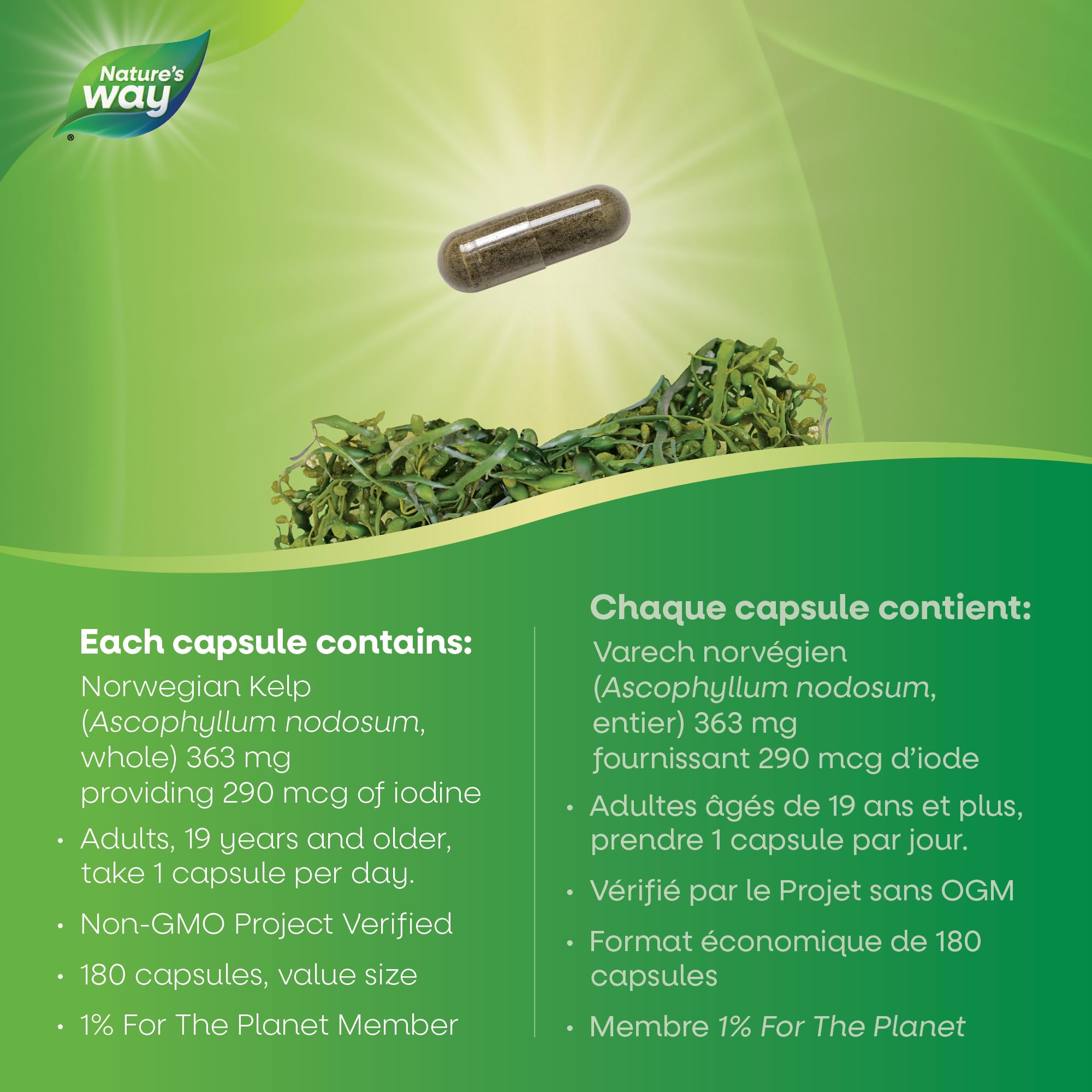 Nature’s Way Kelp - Iodine Supplement for Thyroid Support from Kelp - Non-GMO - 180 Vegetarian Capsules, Value Size 🍁 All In One Marketplace Canada