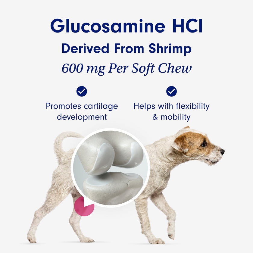 Petlab Co. Joint Care Chews, High Levels of Glucosamine for Dogs, Green Lipped Mussels, Omega 3 and Turmeric, Dog Hip and Joint Supplement to Actively Support Mobility, Packaging May Vary 🍁 All In One Marketplace Canada