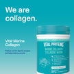 VITAL PROTEINS Marine Collagen Peptides Powder, Helps Form Collagen And Reduce Joint Pain Associated With Osteoarthritis, Source Of Amino Acids, No Added Sugar, No Artificial Colours Or Flavours, 221 g 🍁 All In One Marketplace Canada