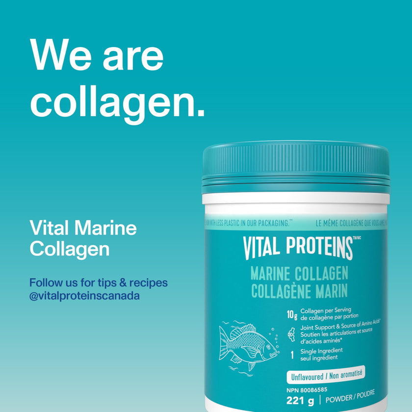 VITAL PROTEINS Marine Collagen Peptides Powder, Helps Form Collagen And Reduce Joint Pain Associated With Osteoarthritis, Source Of Amino Acids, No Added Sugar, No Artificial Colours Or Flavours, 221 g 🍁 All In One Marketplace Canada