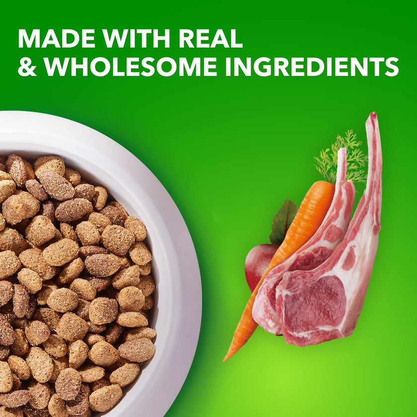 IAMS Proactive Health Minichunks Dry Dog Food – Crunchy Kibble For Adult Dogs – Lamb & Rice Recipe – 13.6KG (30LB) Bag 🍁 All In One Marketplace Canada