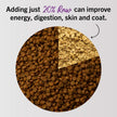 Stella & Chewy's Freeze-Dried Raw Cat Dinner Morsels – Grain Free, Protein Rich Cat & Kitten Food – Chick Chick Chicken Recipe – 510g Bag 🍁 All In One Marketplace Canada