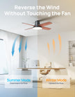 Dreo Ceiling Fans with Lights, 12 Speeds & 3 Fan Modes, Quiet DC Motor, Low Profile Easy to Install, Flush Mount Smart Ceiling Fan with Dimmable LED, 12H Timer for Bedroom, Remote, Black, 44'' 🍁 All In One Marketplace Canada