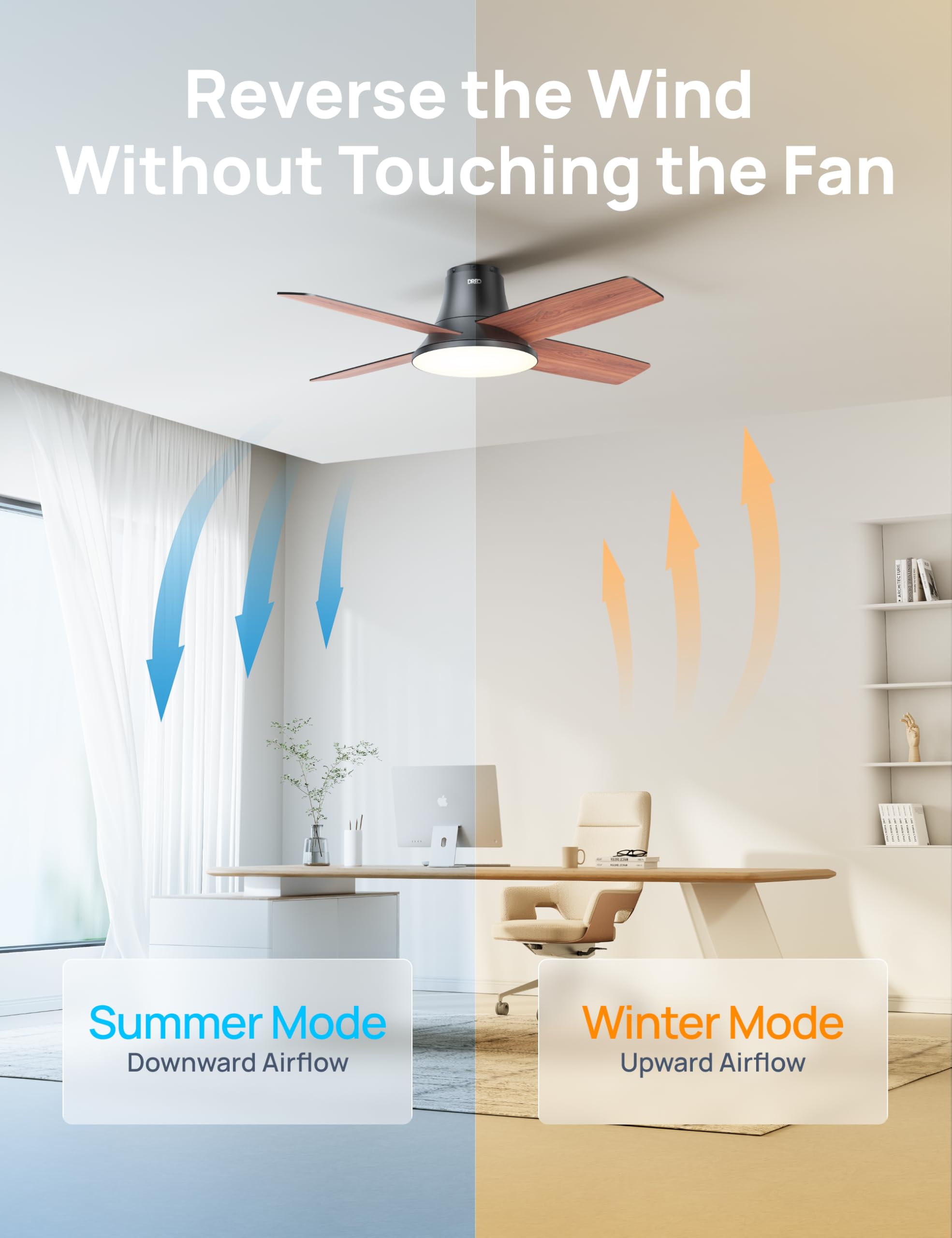 Dreo Ceiling Fans with Lights, 12 Speeds & 3 Fan Modes, Quiet DC Motor, Low Profile Easy to Install, Flush Mount Smart Ceiling Fan with Dimmable LED, 12H Timer for Bedroom, Remote, Black, 44'' 🍁 All In One Marketplace Canada