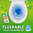 Scrubbing Bubbles Fresh Brush Toilet Bowl Cleaning System Starter Kit, Stain Removing, Citrus Action Scent, Includes: Wand + 4 Refills + 1 Stand 🍁 All In One Marketplace Canada