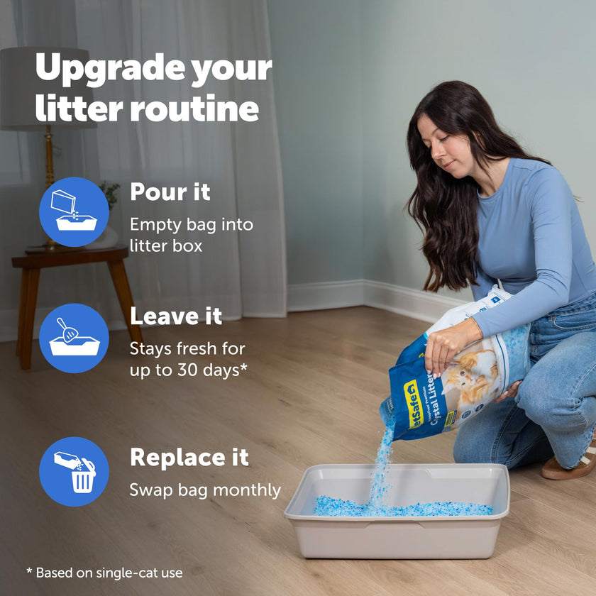 PetSafe ScoopFree Premium Fresh Crystal Cat Litter, 3-Pack – Lightly Scented Litter – Superior Odor Control – Low Tracking for Less Mess – Lasts Up to 6 Months, 24 lbs Total (3 Pack of 8 lb Bags) 🍁 All In One Marketplace Canada