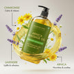 MAJESTIC PURE Arnica Massage Oil for Massage Therapy - with Lavender and Chamomile Essential Oils - Multipurpose Instant Absorption Full Body Massage - 8 fl. oz 🍁 All In One Marketplace Canada