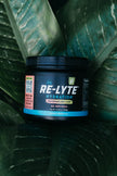 REDMOND Re-Lyte Electrolyte Drink Mix (Watermelon Lime) 🍁 All In One Marketplace Canada
