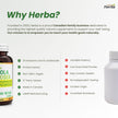 Herba Rhodiola Rosea Supplement 200mg - 90 Capsules | 6:1 Extract | Rhodiola Supplement with Min 3% Rosavins and 1% Salidrosides | Help Relieve Symptoms of Stress | Made in Canada 🍁 All In One Marketplace Canada