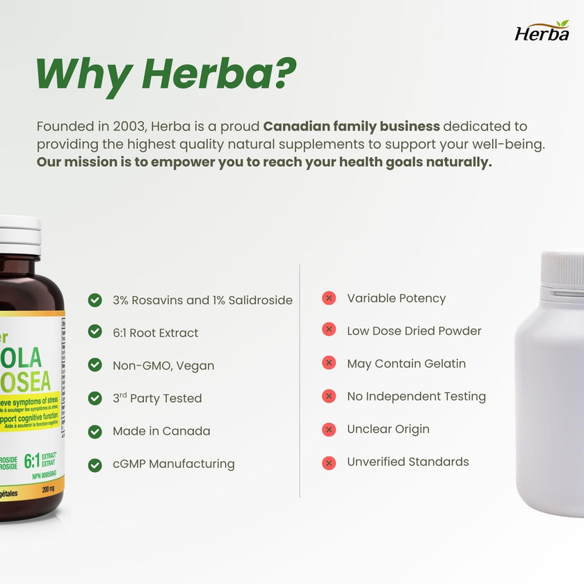 Herba Rhodiola Rosea Supplement 200mg - 90 Capsules | 6:1 Extract | Rhodiola Supplement with Min 3% Rosavins and 1% Salidrosides | Help Relieve Symptoms of Stress | Made in Canada 🍁 All In One Marketplace Canada