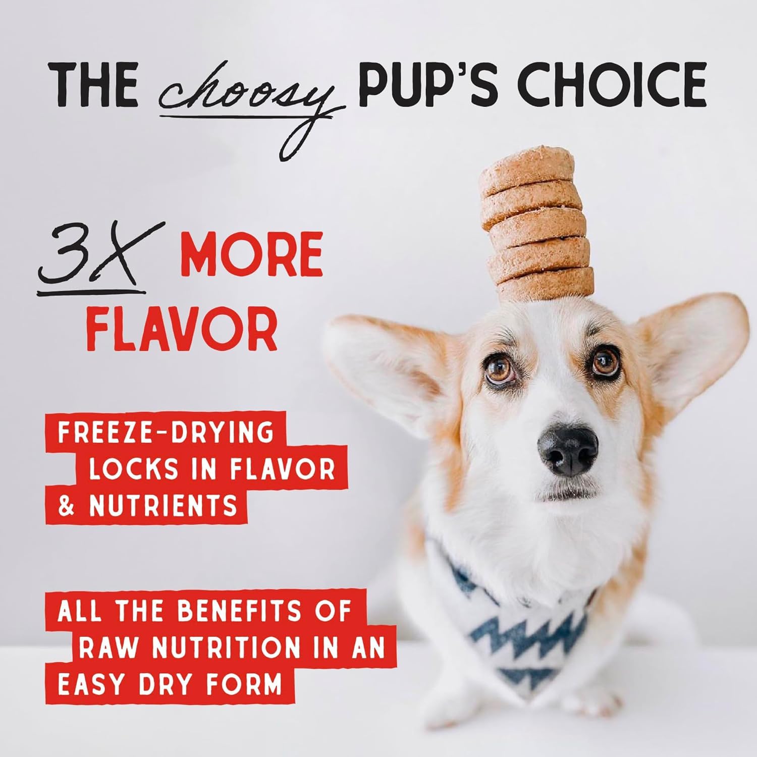 Stella & Chewy’s Freeze Dried Raw Dinner Patties – Grain Free Dog Food, Protein Rich Stella’s Super Beef Recipe – 396g Bag 🍁 All In One Marketplace Canada