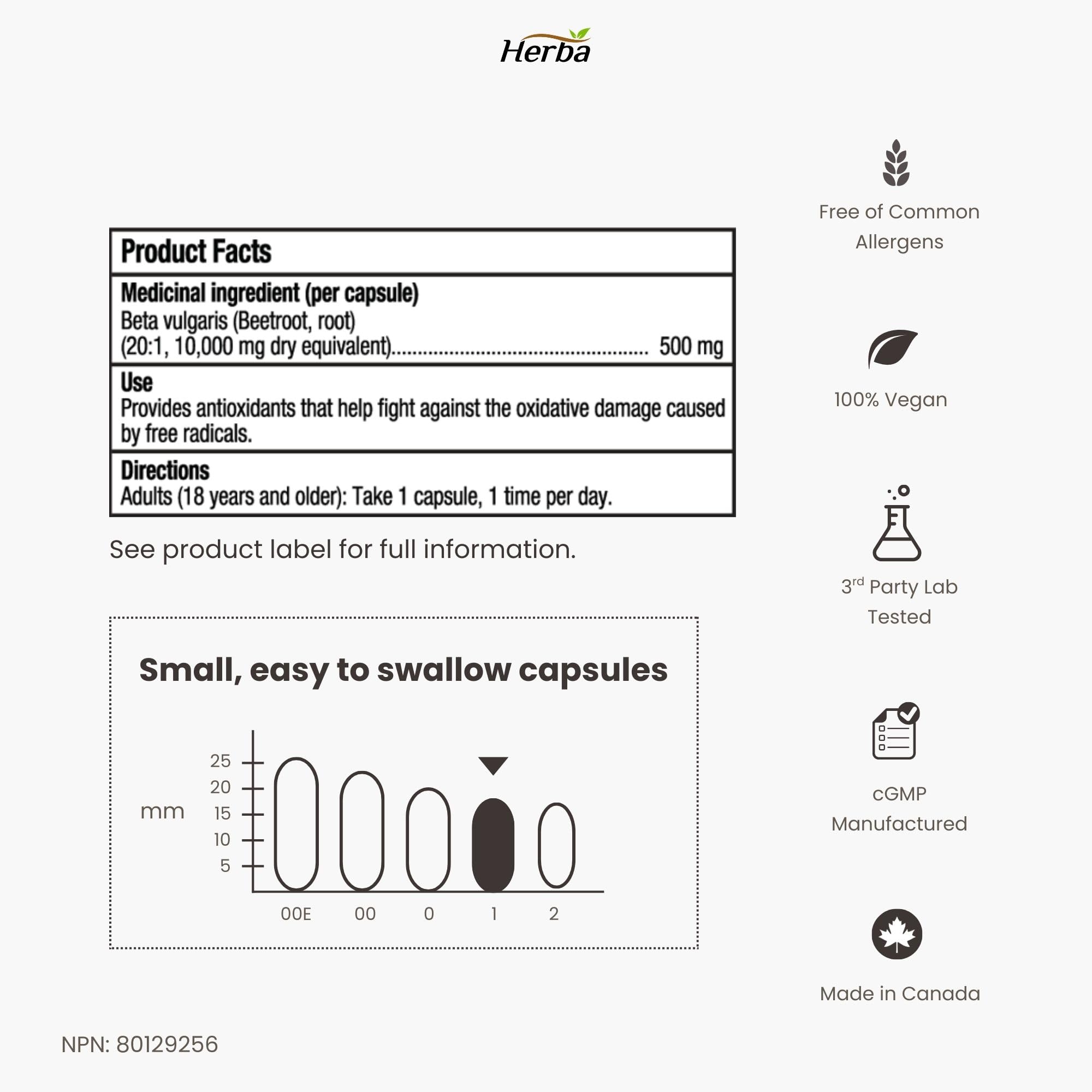 Herba 10,000mg Organic BeetRoot Capsules – 180 Count | 20:1 Beet Root Powder in Capsule | Nitric Oxide Supplements for Men & Women | Made in Canada 🍁 All In One Marketplace Canada