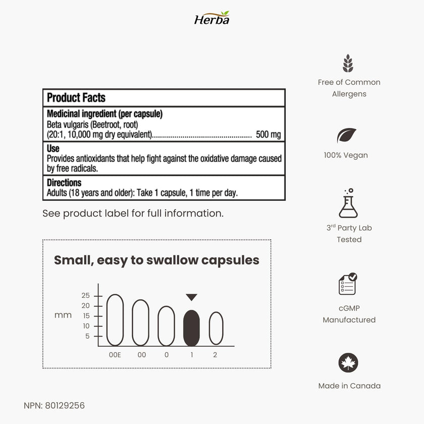 Herba 10,000mg Organic BeetRoot Capsules – 180 Count | 20:1 Beet Root Powder in Capsule | Nitric Oxide Supplements for Men & Women | Made in Canada 🍁 All In One Marketplace Canada