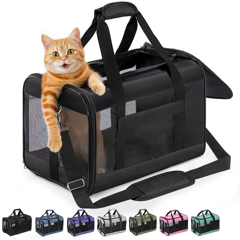 Conlun Cat Carrier Airline Approved, Soft-Sided Dog Carrier with Inner Safety Leash, Pet Transport Carrier for Small-Medium Cats Puppies up to 15 Lbs, Collapsible Travel Kitten Carrier Bag -Black M 🍁 All In One Marketplace Canada