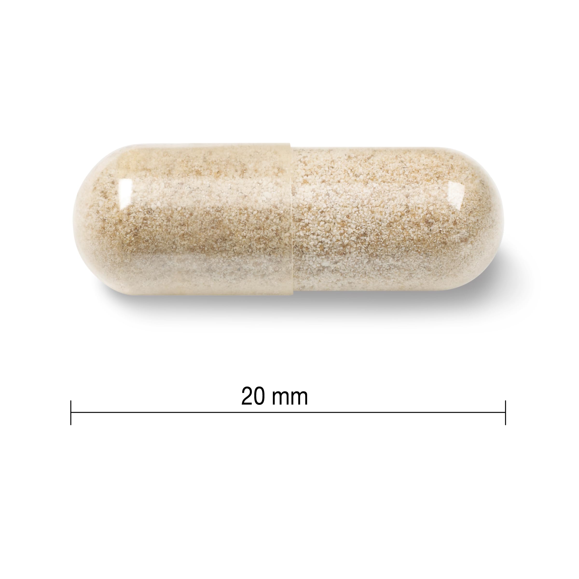 Jamieson Iron 28 mg, with Folic Acid, Vitamin B2, Vitamin B12, and Vitamin C, Helps Prevents Iron Deficiency, Provides Superior Absorption, and Gentle on the Stomach. Non-GMO, Gluten-Free, 150 Vegetarian Capsules 🍁 All In One Marketplace Canada