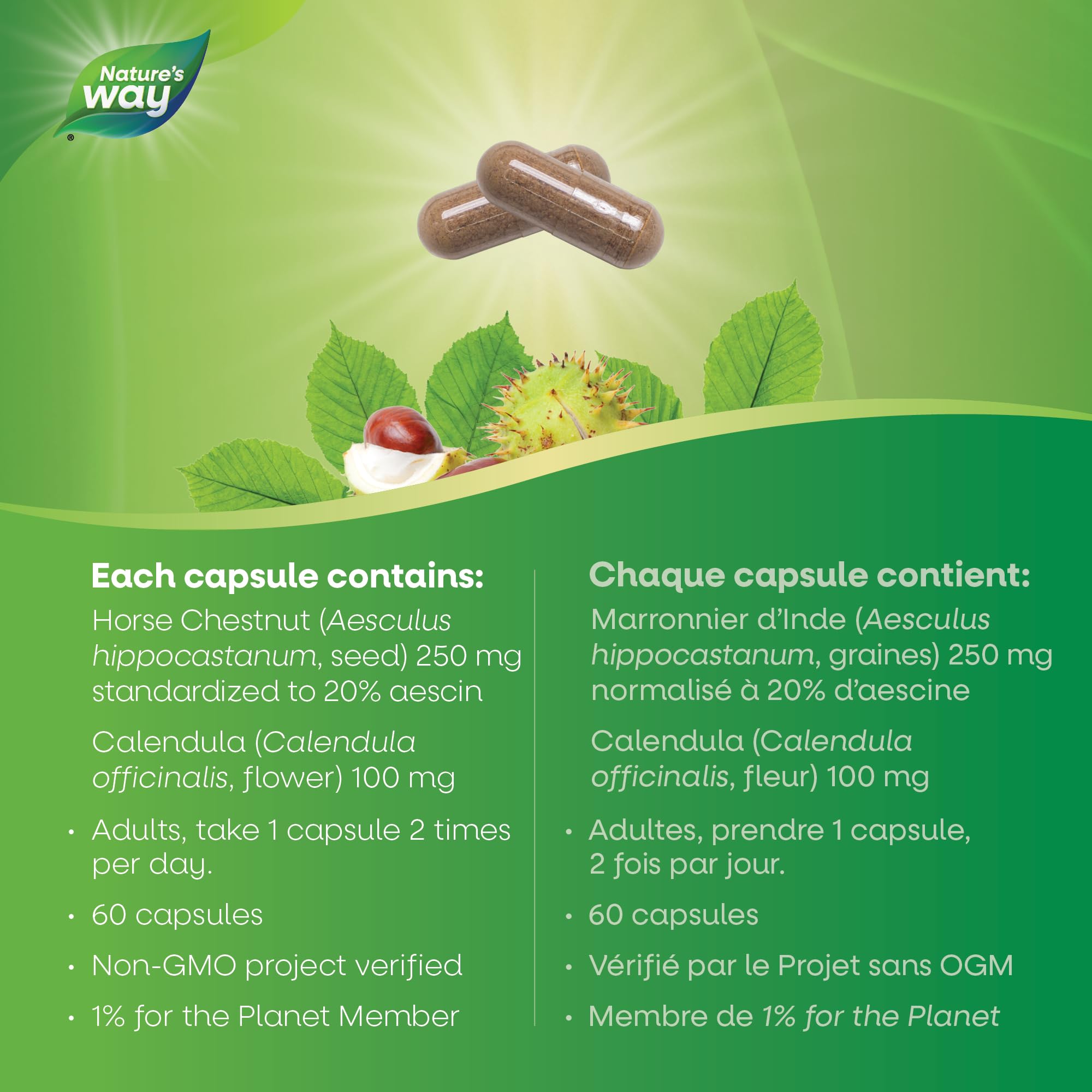Nature's Way Horse Chestnut Supplement – Helps Treat Varicose Veins and Associated Symptoms – Digestive System Inflammation Relief – 100mg Calendula, 250mg Horse Chestnut – 90 Vegetarian Capsules 🍁 All In One Marketplace Canada