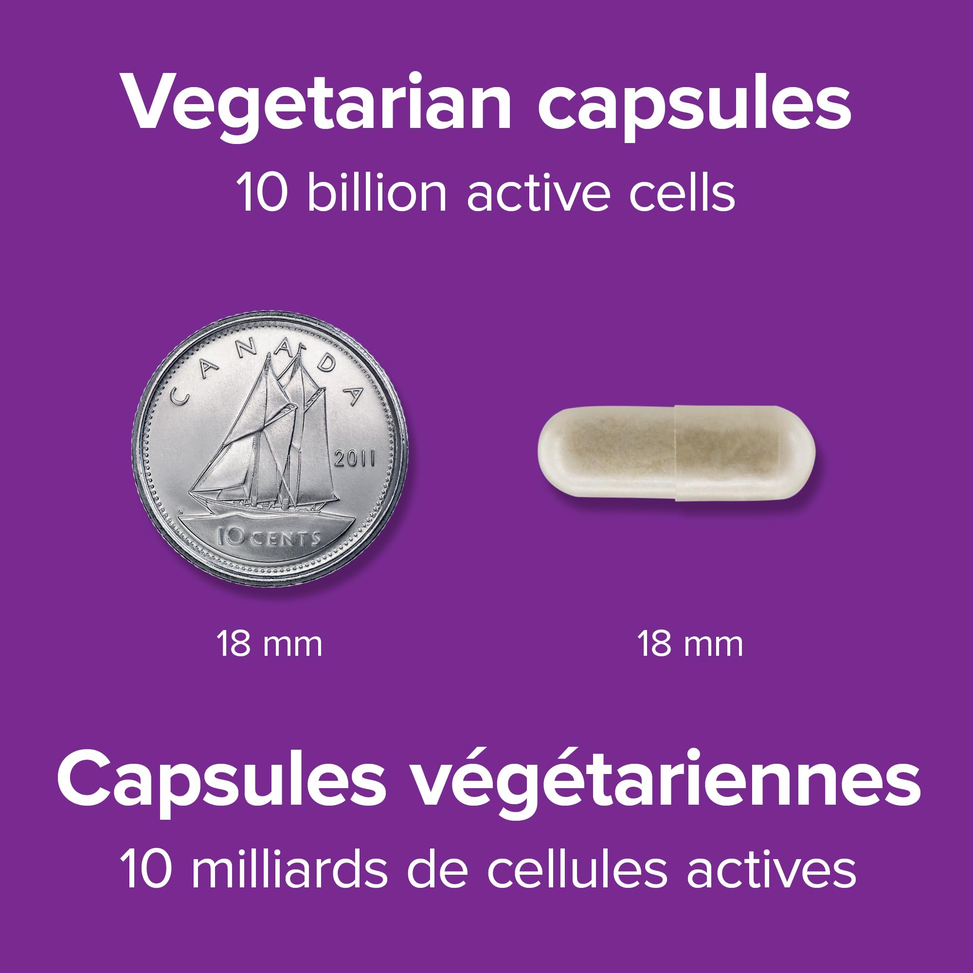 Webber Naturals Probiotic with Prebiotic, 10 Billion Active Cells, 15 Probiotic Strains, 90 Capsules, For Digestive Health, Vegan 🍁 All In One Marketplace Canada