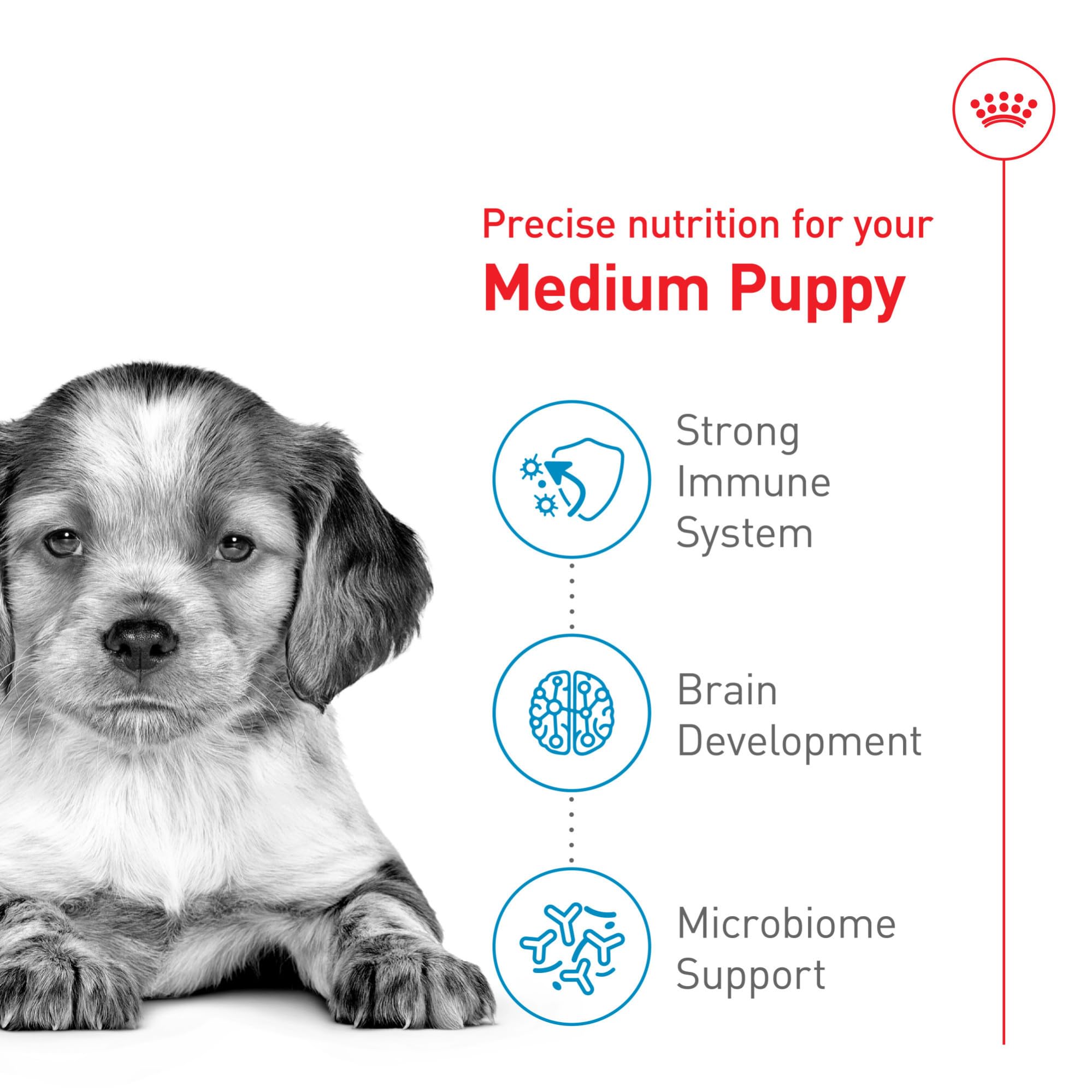Royal Canin Size Health Nutrition Medium Puppy Dry Dog Food, 4 lb 🍁 All In One Marketplace Canada