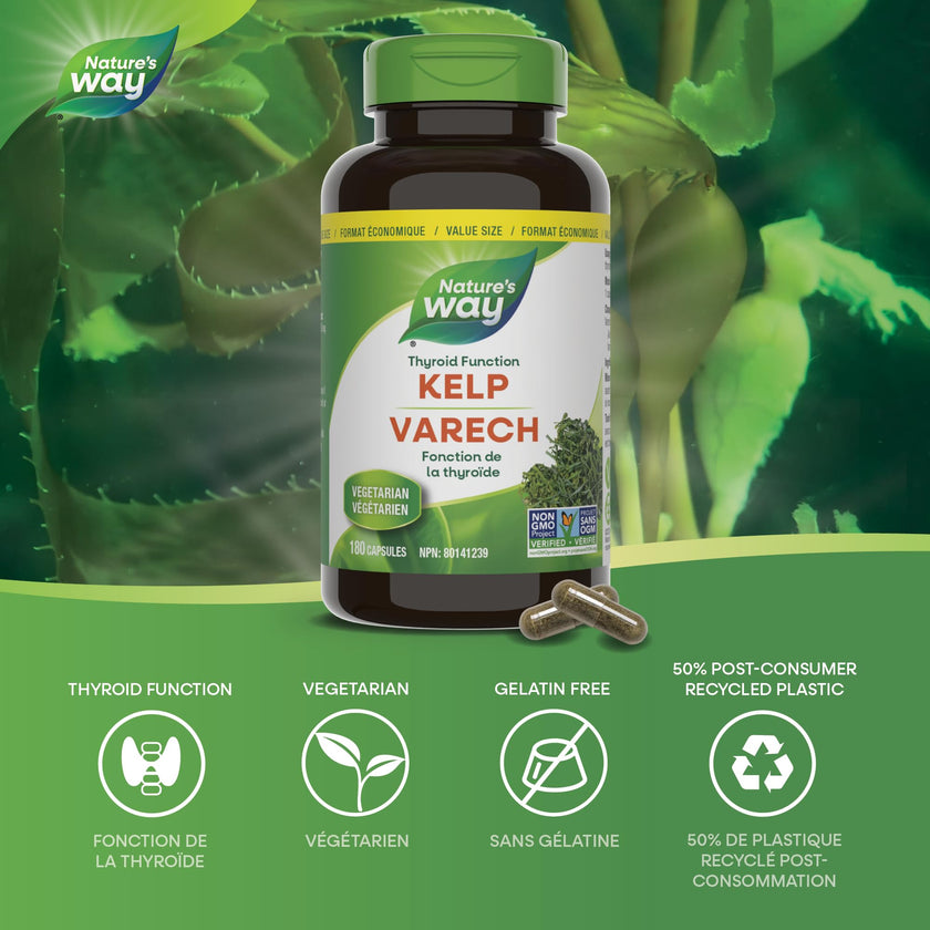 Nature’s Way Kelp - Iodine Supplement for Thyroid Support from Kelp - Non-GMO - 180 Vegetarian Capsules, Value Size 🍁 All In One Marketplace Canada