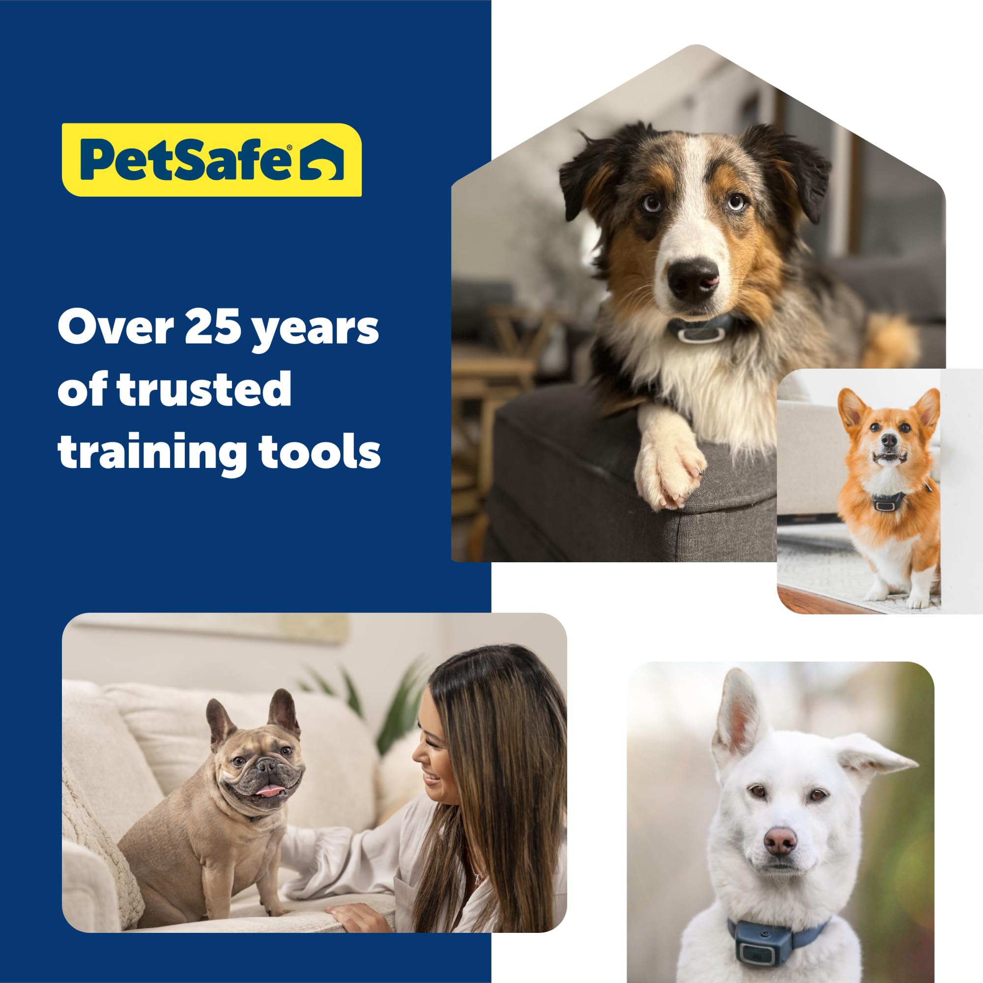 PetSafe Citronella Spray Can Refill for Dog Spray Bark Control Collars and Remote Trainers 🍁 All In One Marketplace Canada