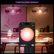 Philips Hue Essential Starter Kit: Bridge + 4 Essential E26 Smart Bulbs, White and Color Ambiance, 2200K-6500K, Dimmable, Works with Alexa, Google Assistant, Samsung SmartThings, Apple Home 🍁 All In One Marketplace Canada