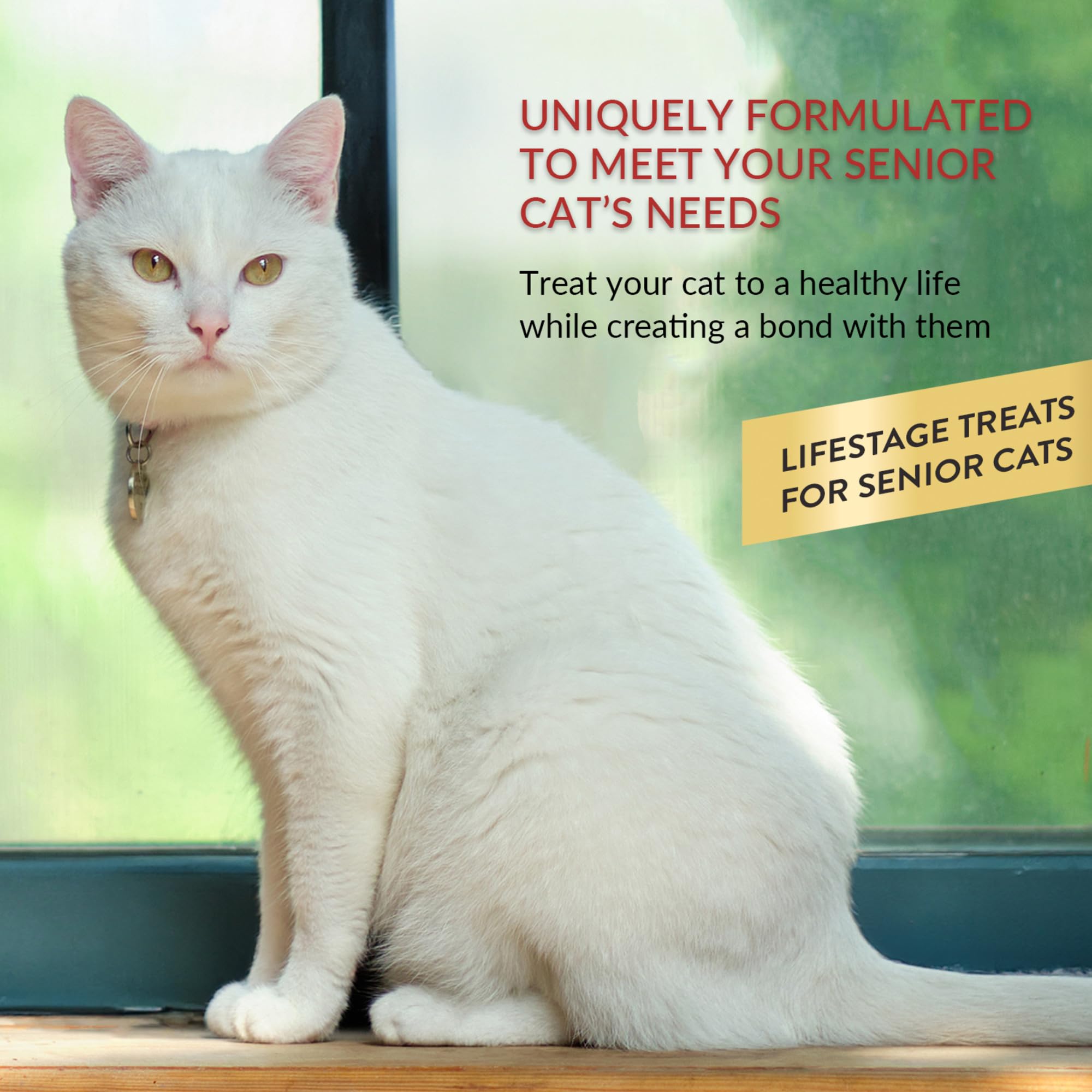 INABA Churu for Senior 10+, Creamy Lickable Cat Treats with Taurine, Vitamin E & C, 14 Grams Each, 60 Tubes, Tuna & Chicken Variety 🍁 All In One Marketplace Canada