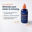 Trace Minerals ConcenTrace Drops | Ionic Liquid Magnesium, Chloride, Potassium | Full Spectrum Minerals | Low Sodium | Energy, Electrolytes, Hydration | 120 ML, 48 Day Supply 🍁 All In One Marketplace Canada