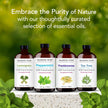 Majestic Pure Peppermint Essential Oil - Huge 118 ml - 100% Pure and Natural Oil for Soap Making Scent- Premium Grade with Glass Dropper 🍁 All In One Marketplace Canada