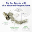 VITALITY Power Iron Supplement 45 mg – Gentle Iron, Vitamin C, B12 & Folate 🍁 All In One Marketplace Canada