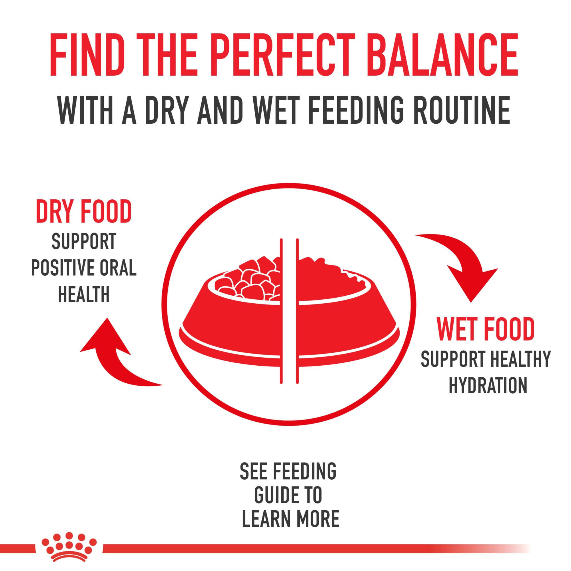 Royal Canin Feline Health Nutrition Sensitive Digestion Cat Food Dry Formula, Balanced Nutrition to Support Digestive Health, 7 lb Bag 🍁 All In One Marketplace Canada