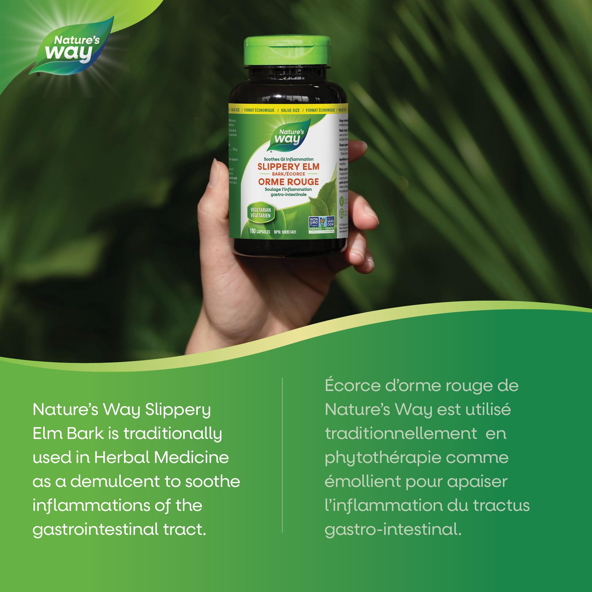 Nature’s Way Slippery Elm Bark – Traditionally Used to Soothe GI Tract Inflammation – Vegetarian, Non-GMO– 180 Capsules 🍁 All In One Marketplace Canada