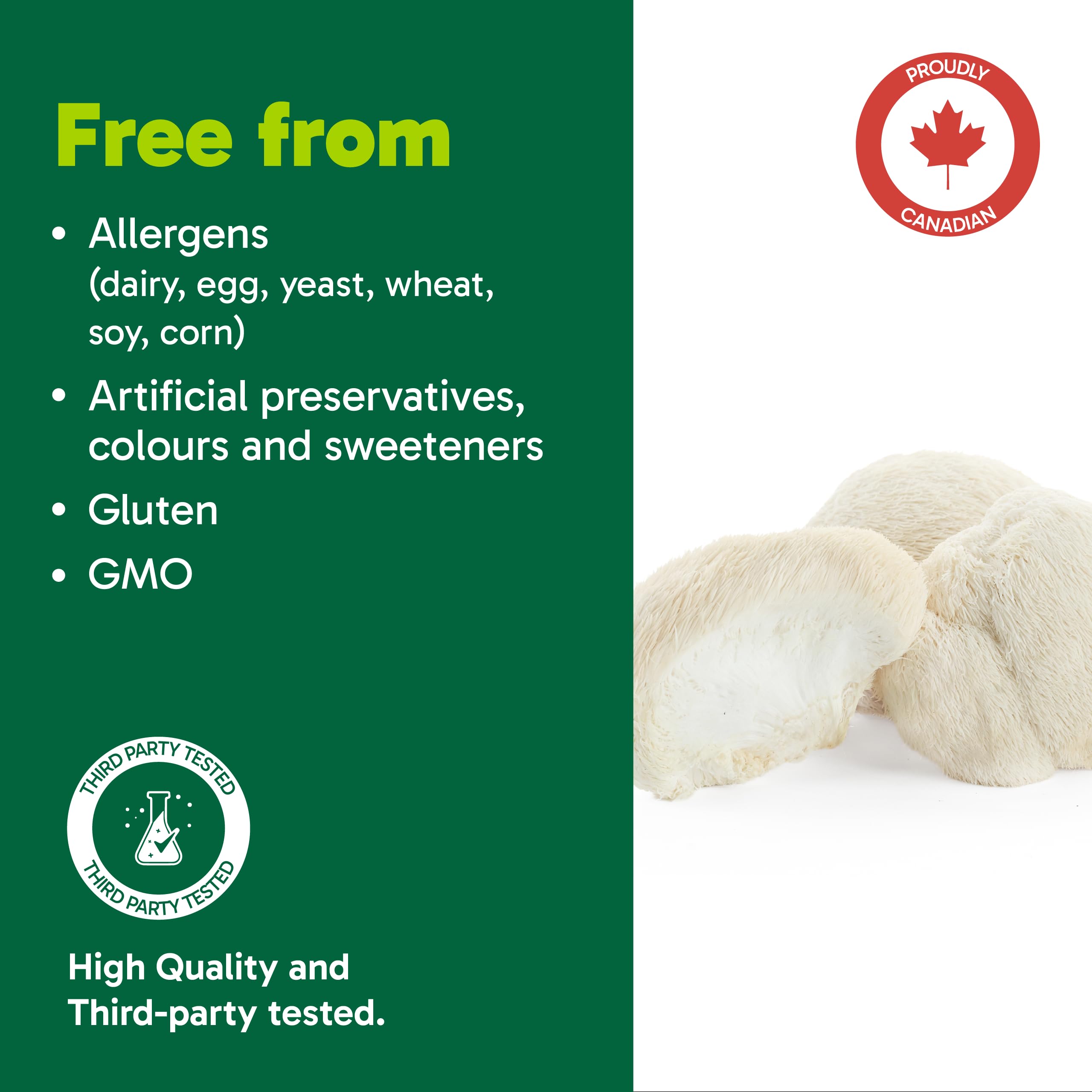 Organika Lion’s Mane Mushroom Gummies – 2000 mg Equivalent per Serving | Brain & Immune Support | Antioxidant Mushroom Supplement | Raspberry Flavour- 60 gummies 🍁 All In One Marketplace Canada