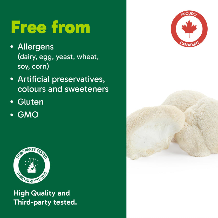 Organika Lion’s Mane Mushroom Gummies – 2000 mg Equivalent per Serving | Brain & Immune Support | Antioxidant Mushroom Supplement | Raspberry Flavour- 60 gummies 🍁 All In One Marketplace Canada
