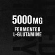 L-Glutamine Powder 500g, 100 Servings - Vegan Fermented L Glutamine for Post Workout Muscle Recovery, Immunity, Digestive Health - Tested & Trusted, No Artificial Fillers - Unflavored 🍁 All In One Marketplace Canada