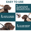 2 Pack Adjustable Collars for Dog, Prevention for 16 Months, Waterproof, 63.5cm for Small, Medium and Large Dogs, Over 7 Weeks Old Use 🍁 All In One Marketplace Canada