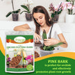 Legigo 2 litres Organic Orchid Potting Bark- All Natural Orchid Bark Potting Mix Pine Bark Wood Chips for Houseplant Mulch, Plants Root Development 🍁 All In One Marketplace Canada