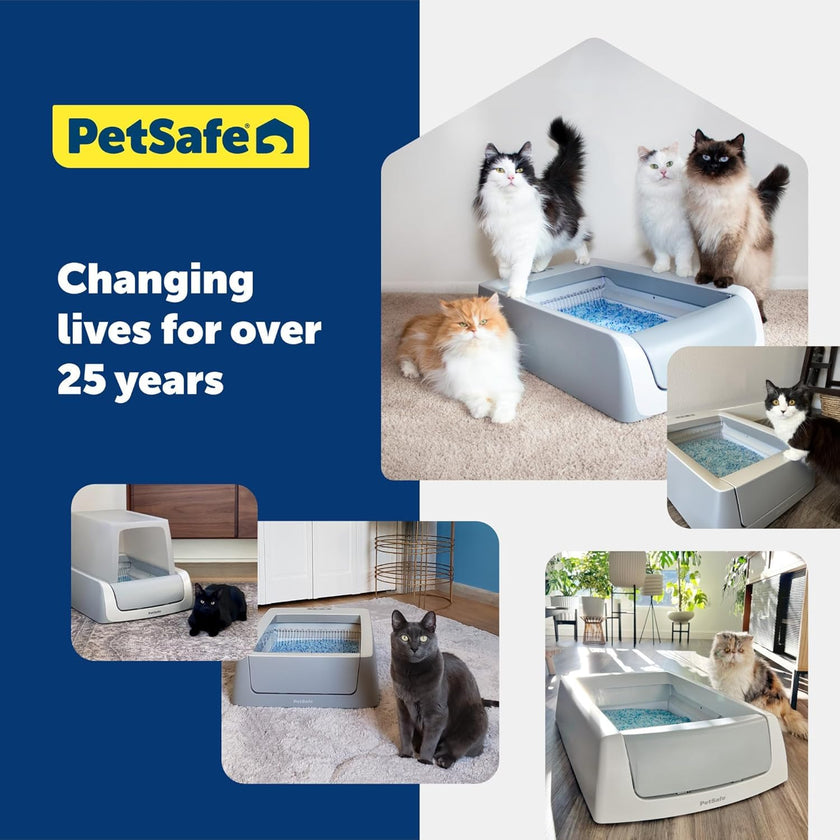 PetSafe ScoopFree Self-Cleaning Cat Litter Box Tray Refill with Premium Blue Non Clumping Crystal Litter, Single Tray Pack 🍁 All In One Marketplace Canada