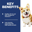 Hill's Science Diet Adult Small Bites Chicken & Barley Recipe Dry Dog Food 2.26 kg Bag 🍁 All In One Marketplace Canada