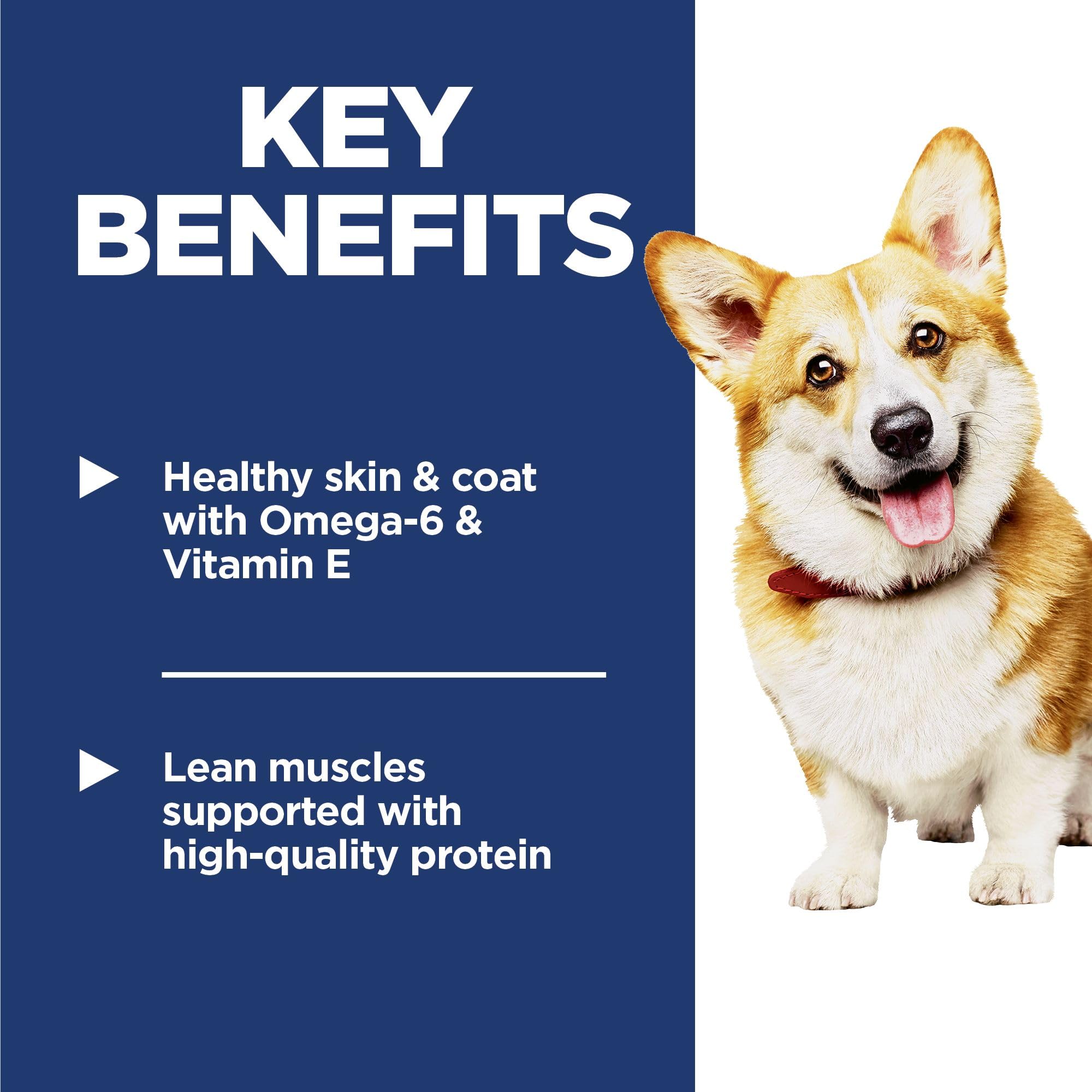 Hill's Science Diet Adult Small Bites Chicken & Barley Recipe Dry Dog Food 2.26 kg Bag 🍁 All In One Marketplace Canada
