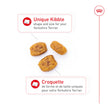 Royal Canin Yorkshire Terrier Adult Dry Dog Food, 10 lb bag 🍁 All In One Marketplace Canada